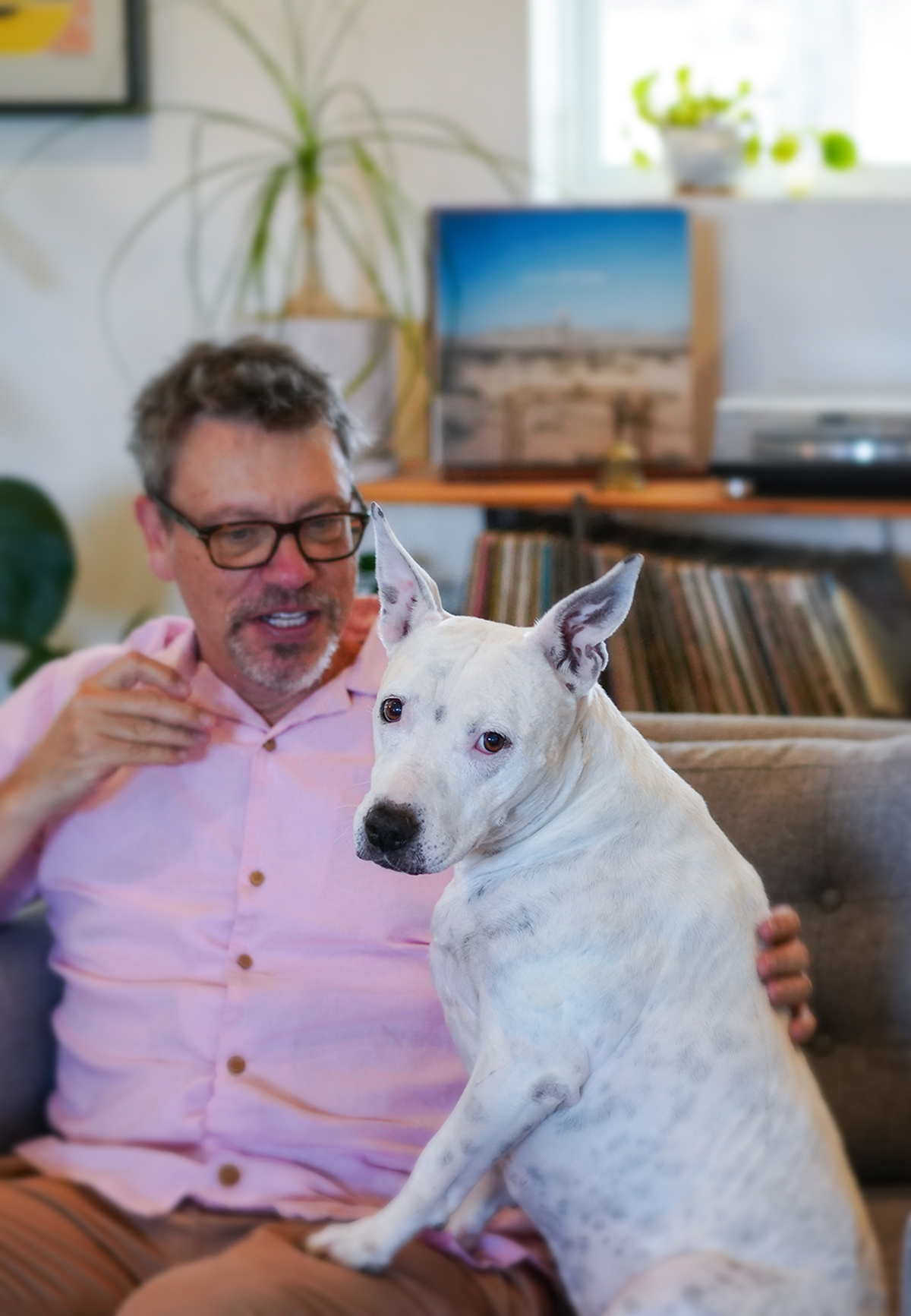Dog Is Human video